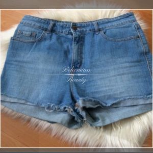 {BDG} •High Waisted • Denim Shorts